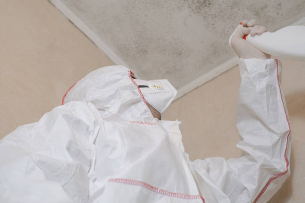 Best Mold Testing  in Hartselle, AL